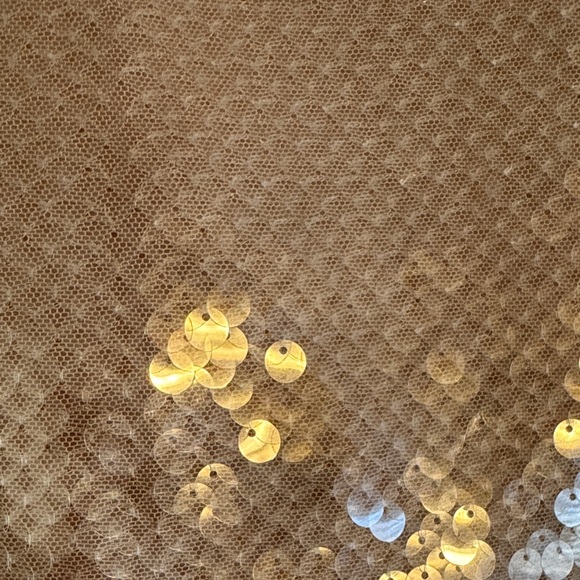 LOFT Sequin Beige Blouse New With Tags - Picture 4 of 4